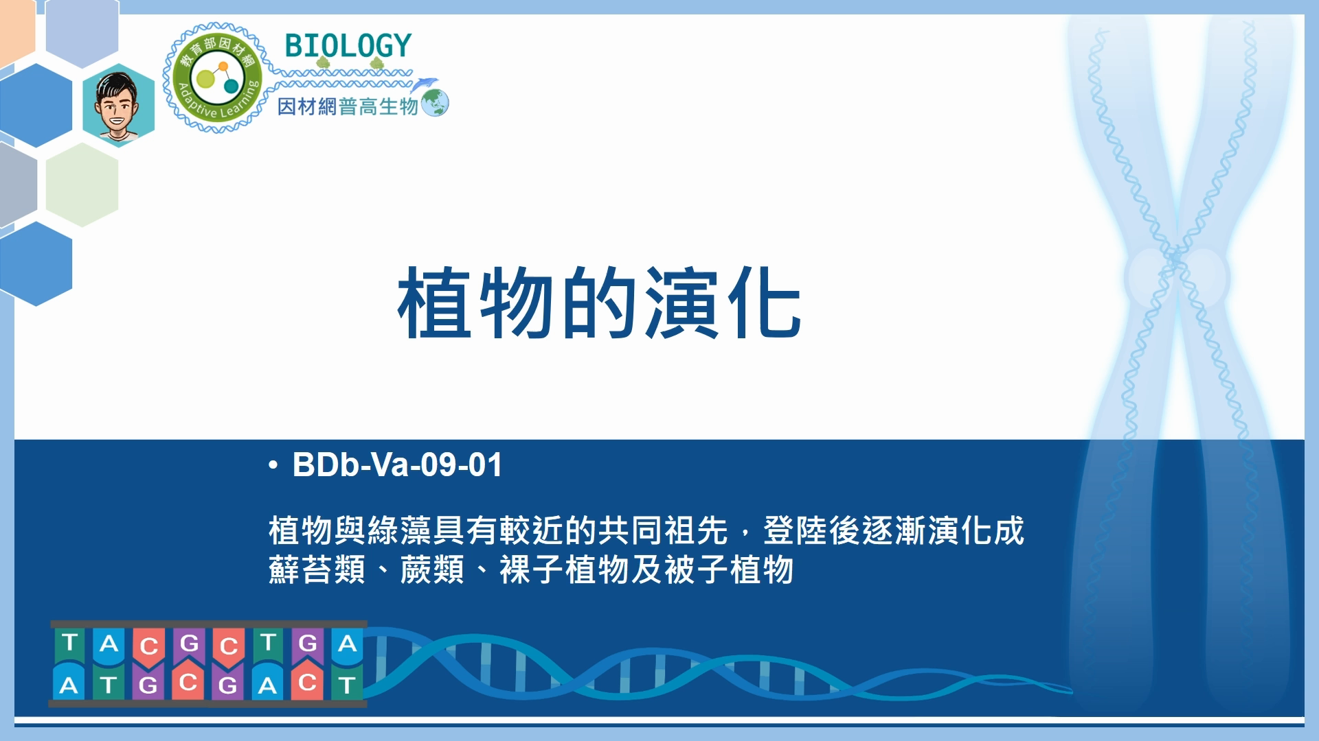 BDb-Va-09-01_植物的演化