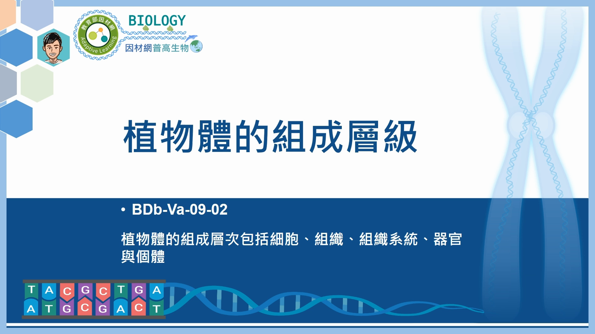 BDb-Va-09-02_植物體的組成層次