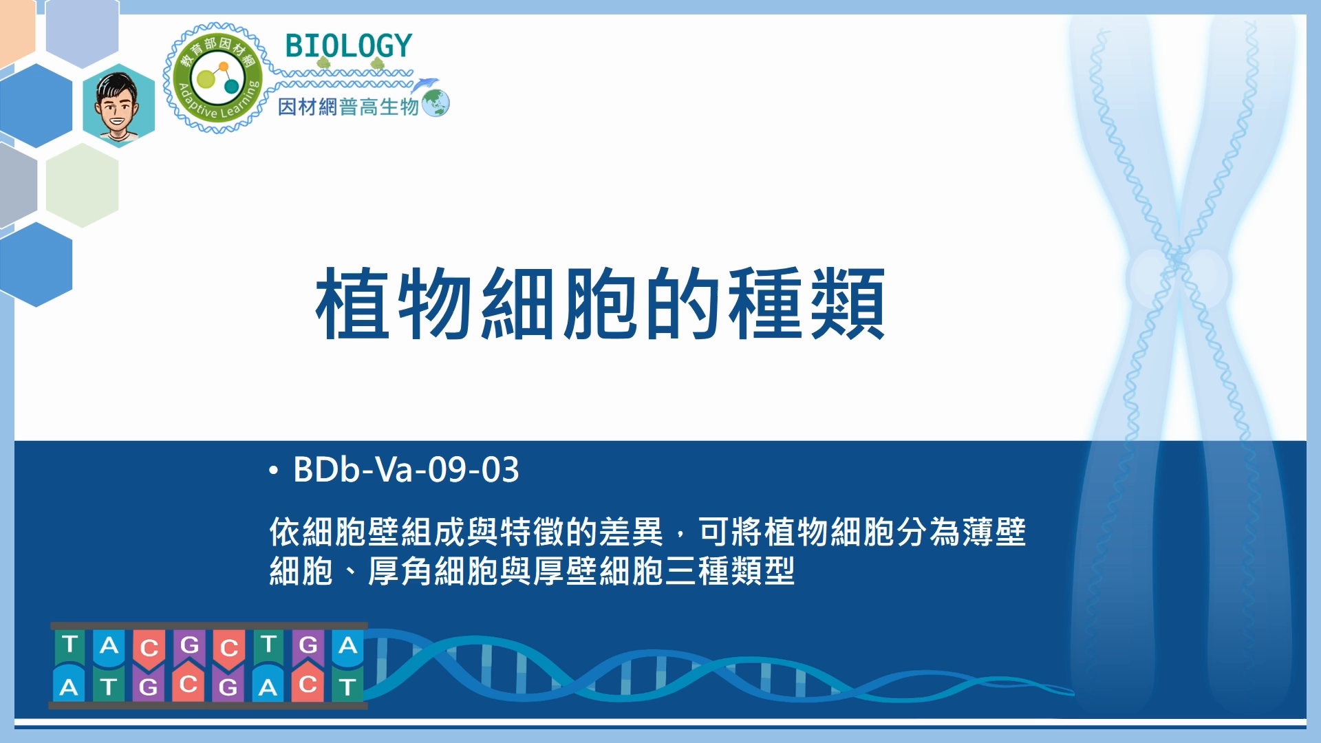 BDb-Va-09-03_植物細胞的種類