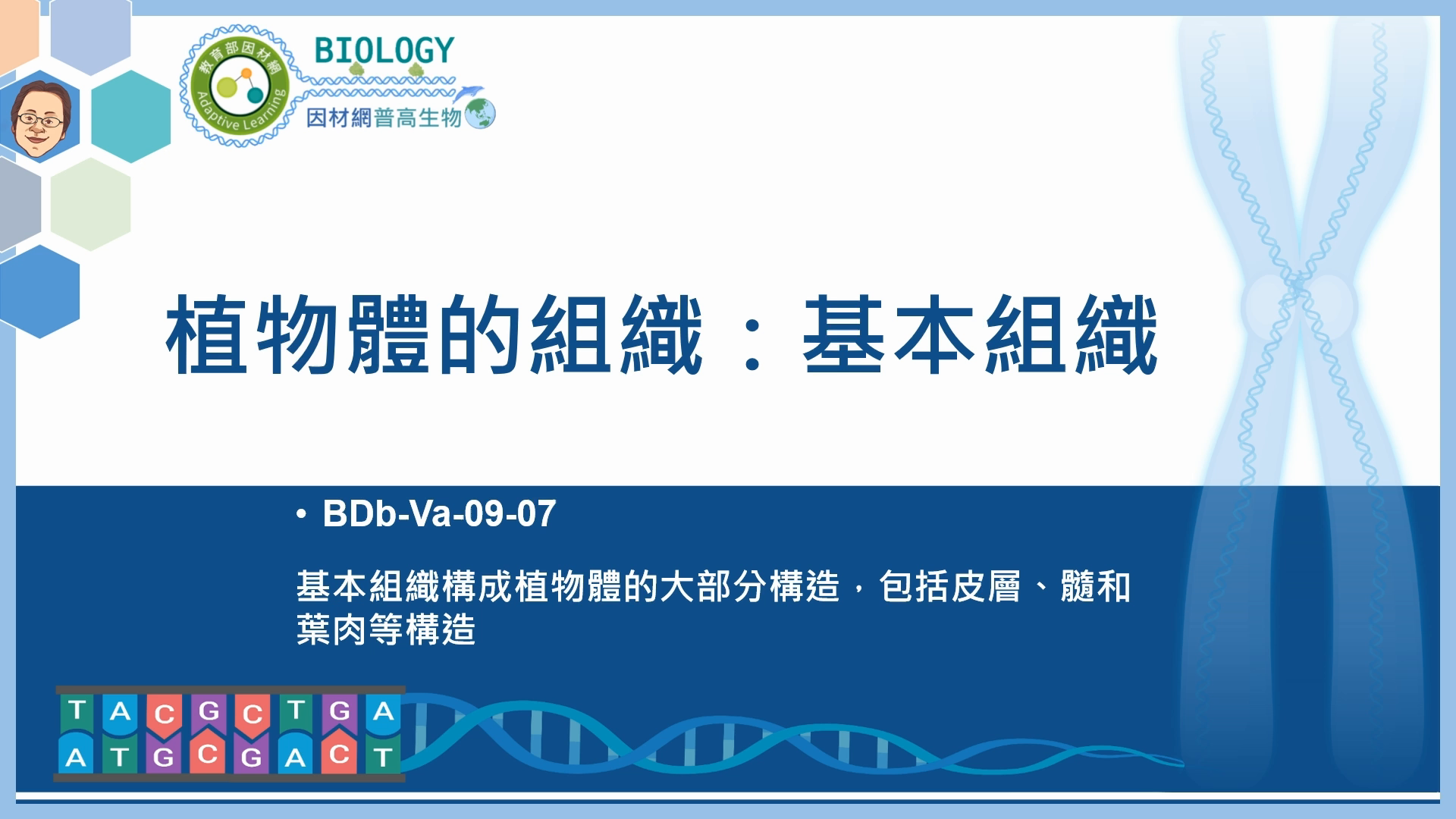 BDb-Va-09-07_植物體的組織：基本組織