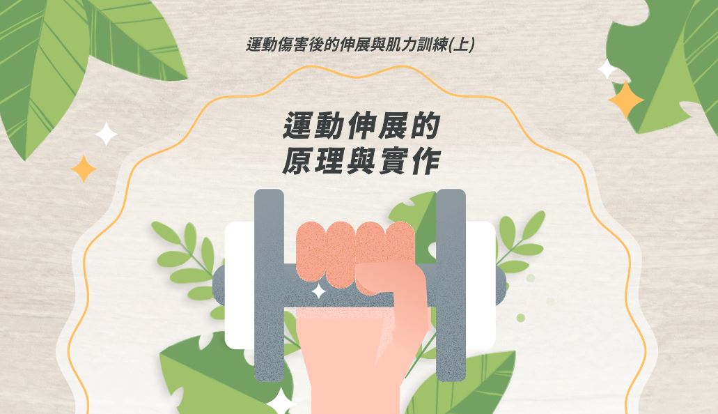 運動傷害後的伸展與肌力訓練(上)運動伸展的原理與實作