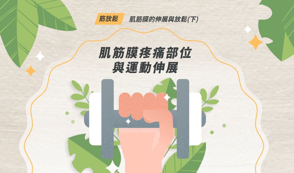 筋放鬆－肌筋膜的伸展與放鬆(下)肌筋膜疼痛部位與運動伸展
